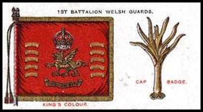 14 1st Bn. Welsh Guards